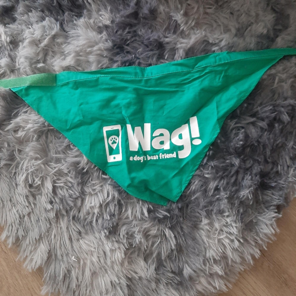 Wag dog scarf